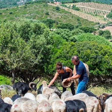 Ferme De Roccapina Frühstückspension Sarragia