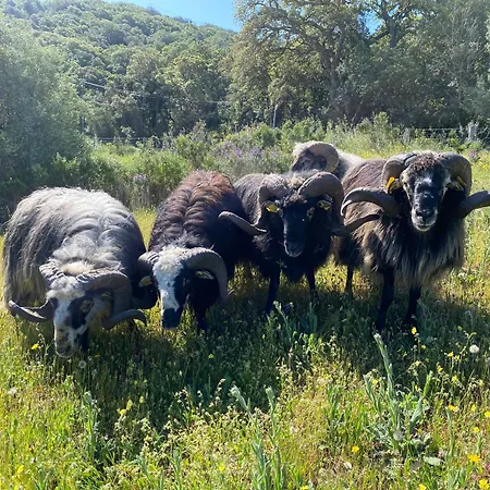 Ferme De Roccapina