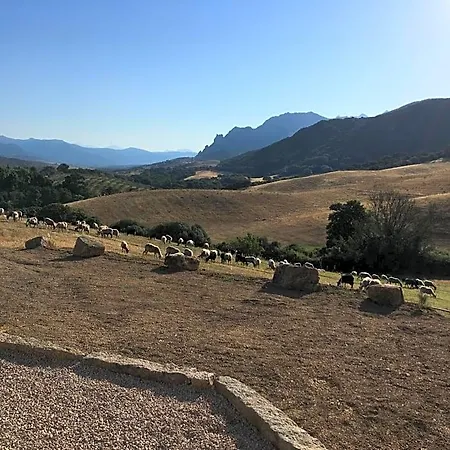 Frühstückspension Ferme De Roccapina Sarragia
