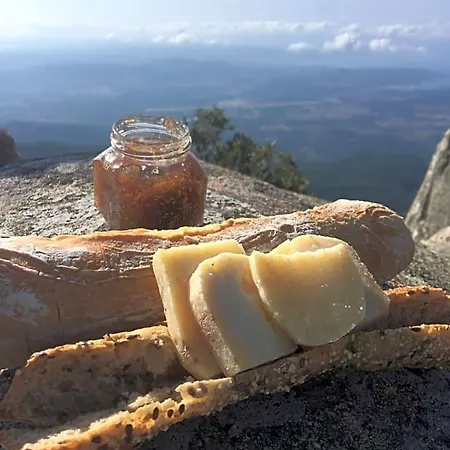Ferme De Roccapina Frühstückspension Sarragia