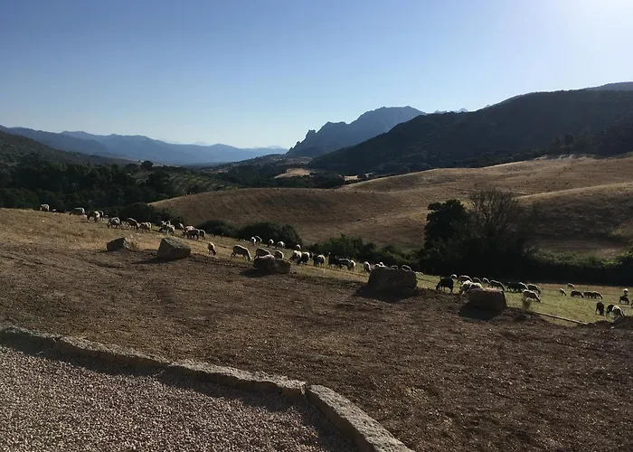 Ferme De Roccapina 3*