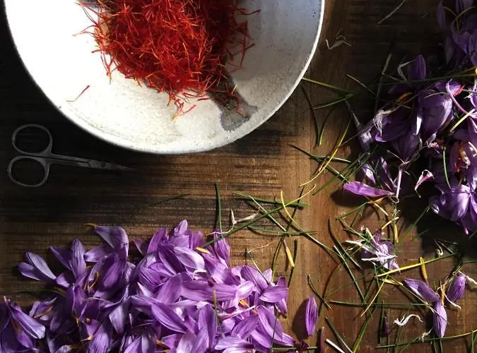 Ferme De Roccapina 3*